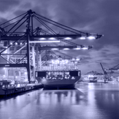 senior management container ports